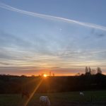 IMG_5113